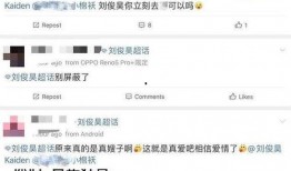 明星塌房大粉丝爆料视频,视频爆料引发热议