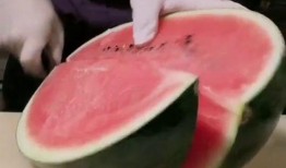 网红西瓜视频吃瓜网友,网友热议不断