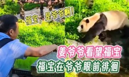 福宝爷爷爆料福宝视频在线观看,福宝视频在线观看全攻略