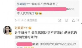 张颖颖爆料分析最新消息,揭秘娱乐圈最新动态与幕后真相