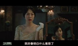 韩剧电影小姐在线观看,一场跨越身份与欲望的华丽冒险