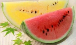 吃瓜群众网不红,网络红人的幕后故事