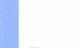 17com黑料爆料视频,真相与争议并存