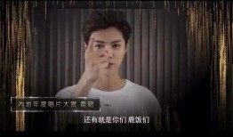 雨欣大哥爆料视频大全集,揭秘幕后真相与精彩瞬间