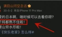 怎么看内鬼爆料视频呢,视频内容分析与解读