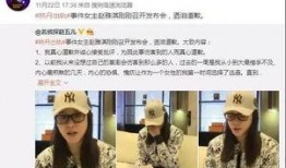 大陆新闻爆料,揭秘事件背后惊人真相