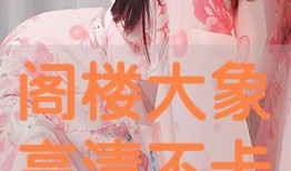 阁楼大象在线观看,揭秘神秘阁楼中的奇幻冒险之旅