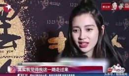 娱乐圈爆料图文大全,揭秘明星幕后真相与八卦风云