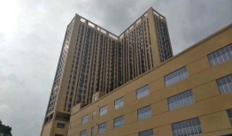 深圳龙华大浪最新爆料,揭秘大浪片区未来发展规划与亮点