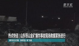 山东最新爆料事件视频