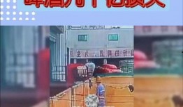 青岛啤酒视频爆料最新
