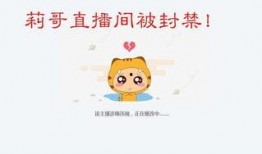 真实网络爆料视频大全,真实视频大全背后的故事与真相