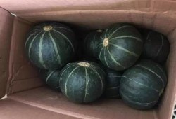 吃瓜给五块钱的网红视频,网红视频背后的惊人真相