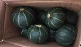 吃瓜给五块钱的网红视频,网红视频背后的惊人真相