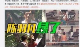 贼王最新爆料视频大全下载,揭秘犯罪内幕，追踪犯罪团伙动态