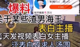 北美渣男爆料视频播放,揭秘渣男真面目，播放量惊人！