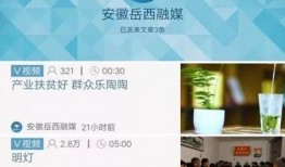 岳西最新爆料新闻事件,重大事件引发社会关注，真相即将揭晓！