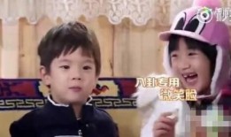 娱乐圈吃瓜八卦的文章,揭秘明星背后的惊人真相！