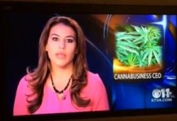 新闻爆料美女视频播放在线观看,在线观看引热议