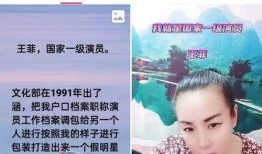 爆料里面视频被人盗用,揭秘盗用者如何利用他人作品