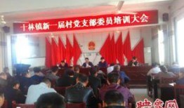 邓州爆料十林粮所事件视频,真相揭露与公众关注