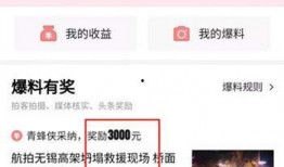 头条怎么找媒体爆料视频,如何高效利用媒体爆料视频进行内容创作