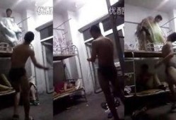 免费调教视频在线观看,轻松入门，在线学习新技能