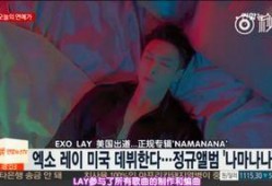 兴迪最新爆料新闻事件