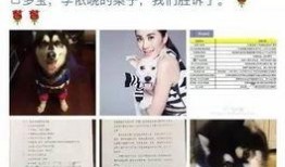 微博女星爆料事件最新,真相与争议交织