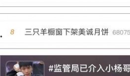 生哥直播间爆料视频,揭秘幕后真相