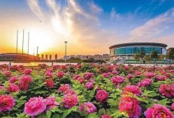 洛阳植物园爆料视频播放