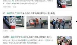 咋样看爆料结果啊视频,真相与解读