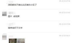 涡阳渣男爆料视频大全下载,揭秘不为人知的情感真相