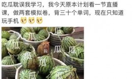 娱乐圈吃瓜大全421,揭秘娱乐圈背后的惊人真相与幕后故事