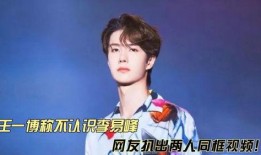 王一博脸部爆料视频,揭秘明星的日常魅力