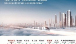 上海周边新闻如何爆料的,独家爆料背后的真相与影响