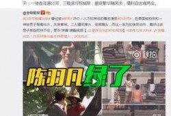 阿康学长爆料王子视频,王子视频背后的惊人真相