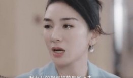 黄毅清爆料陆毅视频播放,真相与舆论的漩涡