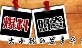 丰都新闻爆料平台有哪些,聚焦民生热点，传递社会声音