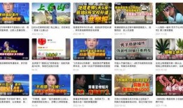 大象新闻线索爆料视频,揭秘事件背后惊人真相