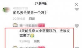 济宁今日爆料最新消息,揭秘今日重大事件背后的真相