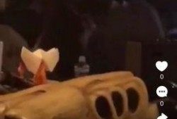 李诞员工爆料了吗视频全集,揭秘娱乐圈幕后真相