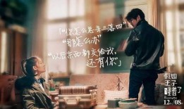 阿康学长爆料王子视频,王子视频背后的惊人真相