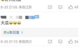 张颖颖爆料分析最新消息,揭秘娱乐圈最新动态与幕后真相