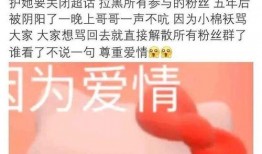 明星塌房大粉丝爆料视频,视频爆料引发热议