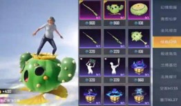 吃鸡下期大转盘爆料视频