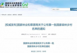 正定新闻爆料电话查询网,实时掌握本地资讯动态